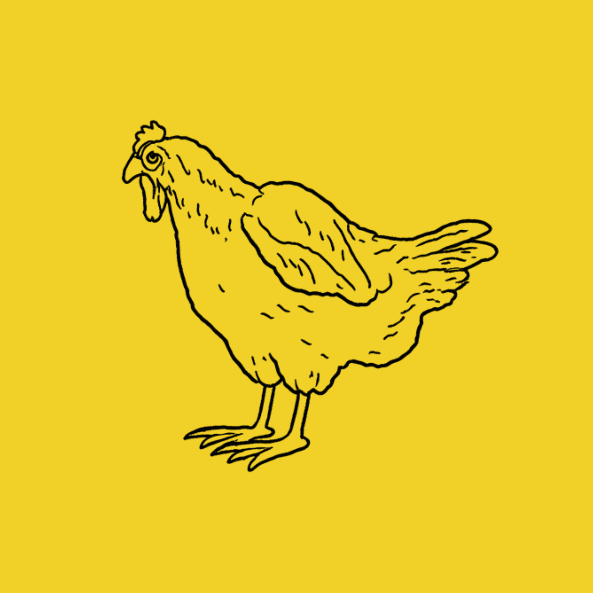 Christmas Chicken | Rigwell Addison Asiedu